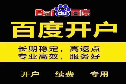 行业内的SEM竞价代运营公司优秀案例剖析